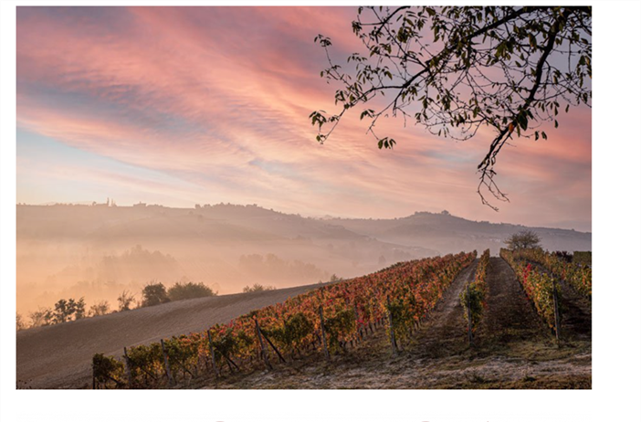 Nasce la filiale veronese della Banca del Vino di Pollenzo