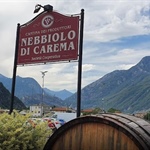 La Cantina dei Produttori Nebbiolo di Carema per la Festa dell'Uva inaugura la mostra fotografica “Actions for wine, la viticoltura caramese”