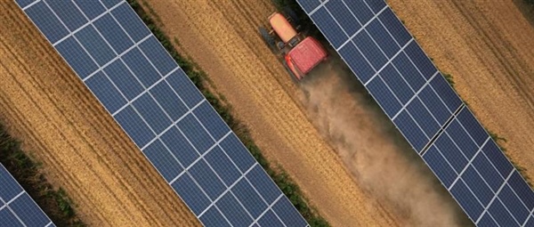 Sviluppo agrovoltaico