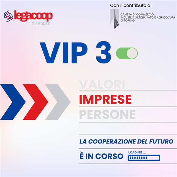 Progetto VIP III edizione, Linea Valori: le attività