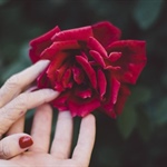 Inforcoop Ecipa Piemonte: “Non c’è spina senza rosa”