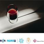 Banca del vino: convegno in Strategie e certificazioni di sostenibilità in ambito vitivinicolo
